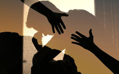 Une expertise essentielle mise en lumière dans le cadre des enquêtes publiques